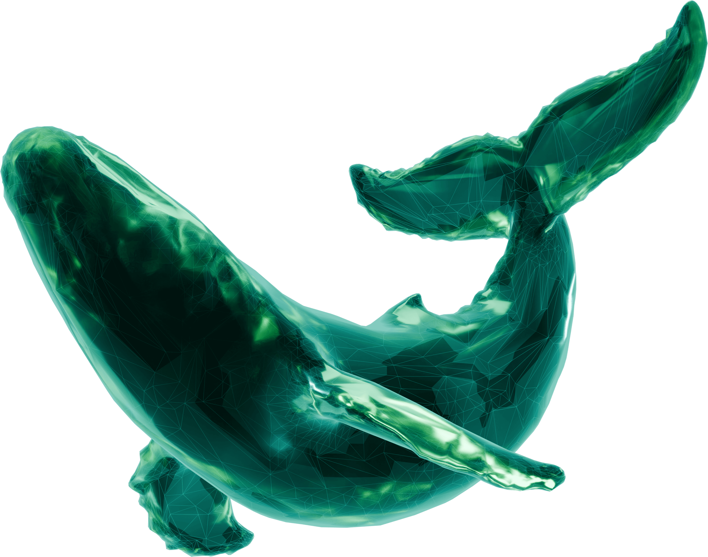 whale